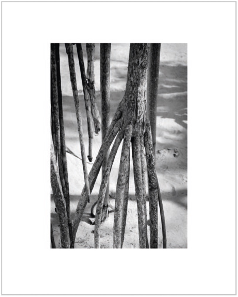 Jahresgabe Una Szeemann klein.jpg